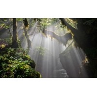 光的干涉、衍射、折射、反射、散射